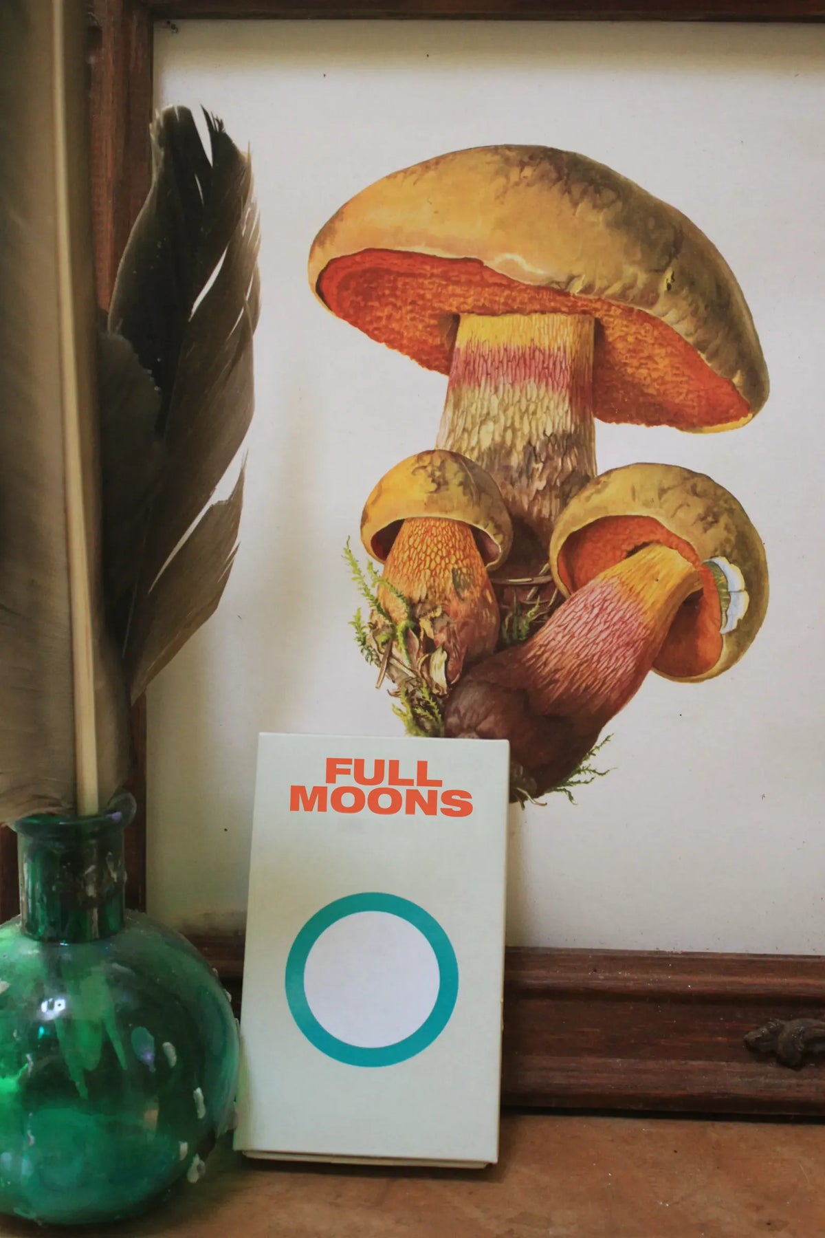 A pack of Full Moons leaning against a vintage mushroom illustration next to a green glass bottle